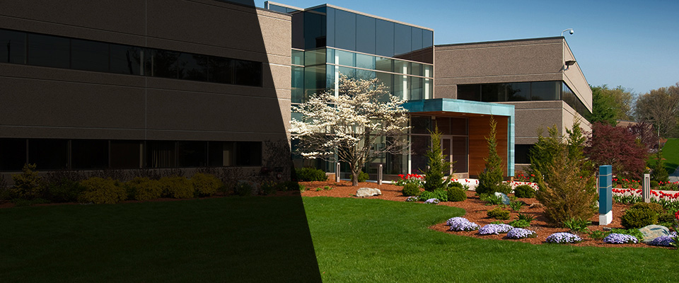 Four Oaks Landscapers