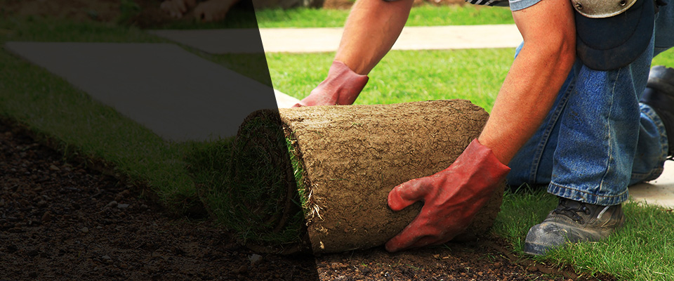 Four Oaks Landscapers